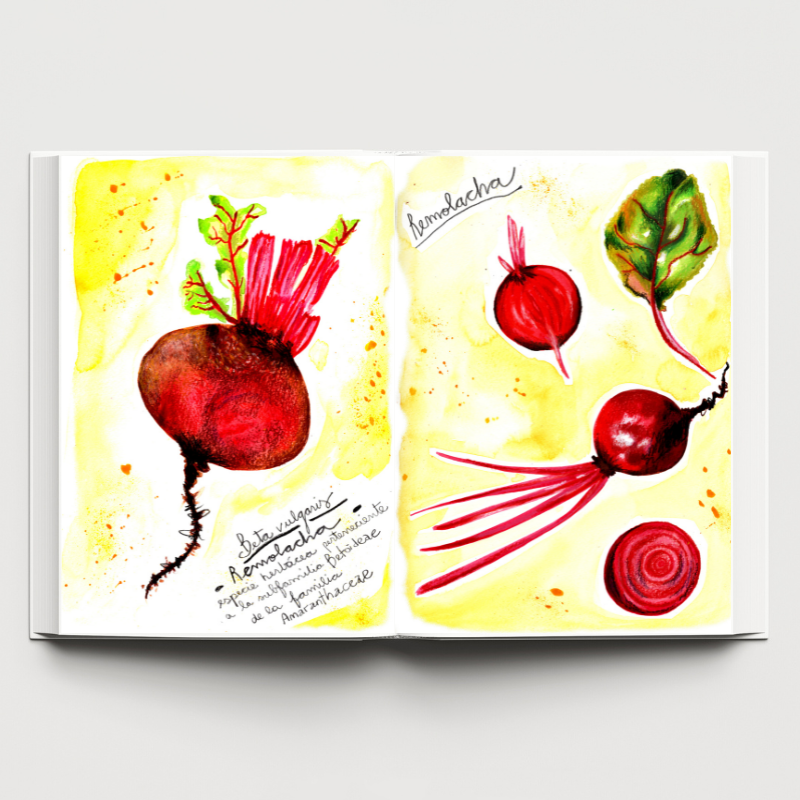 food illustration